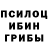 Галлюциногенные грибы Psilocybe Fenestra