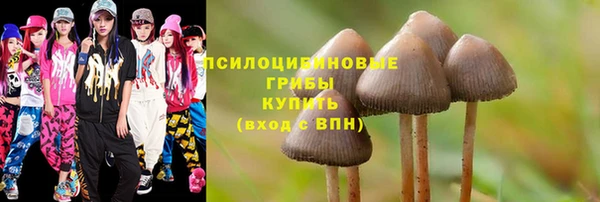 шишки Белокуриха