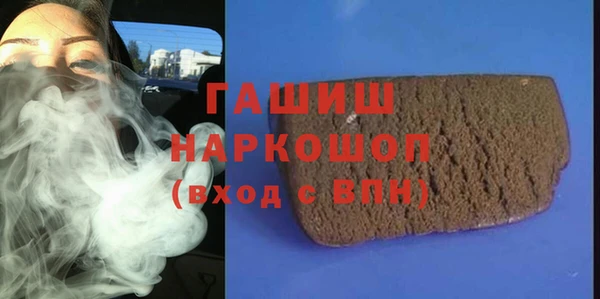гидра Богородицк