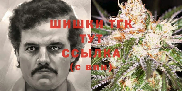 гидра Богородицк