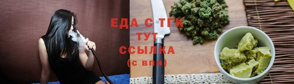 гидра Богородицк