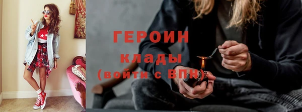 шишки Белокуриха