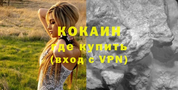 гидра Богородицк