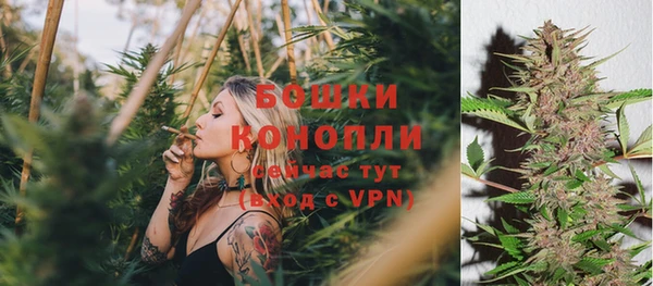 шишки Баксан