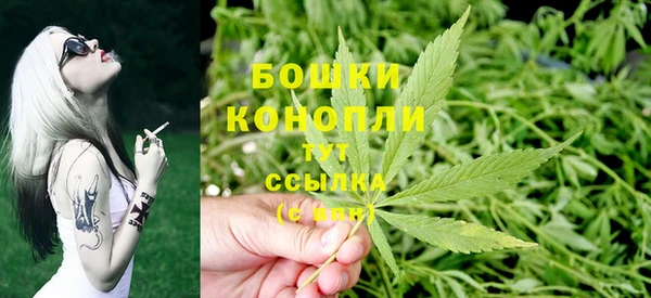 шишки Белокуриха