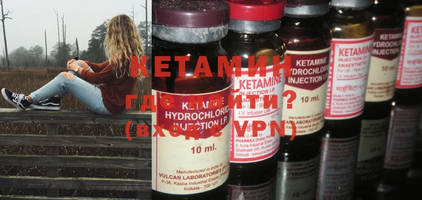 шишки Белокуриха