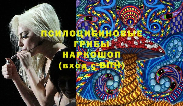 первитин Богданович