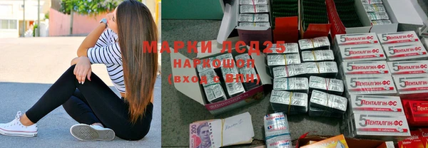шишки Белокуриха