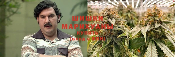 гидра Богородицк