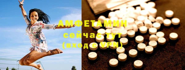 гидра Богородицк